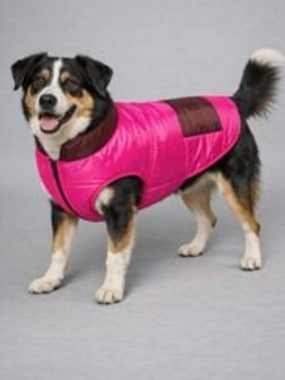 ✨ 4/$15 Boots And Barkley Dog Puffer Vest Size Medium
